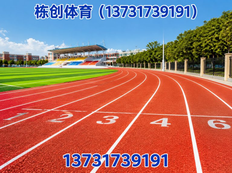 东光县EPDM场地展示图